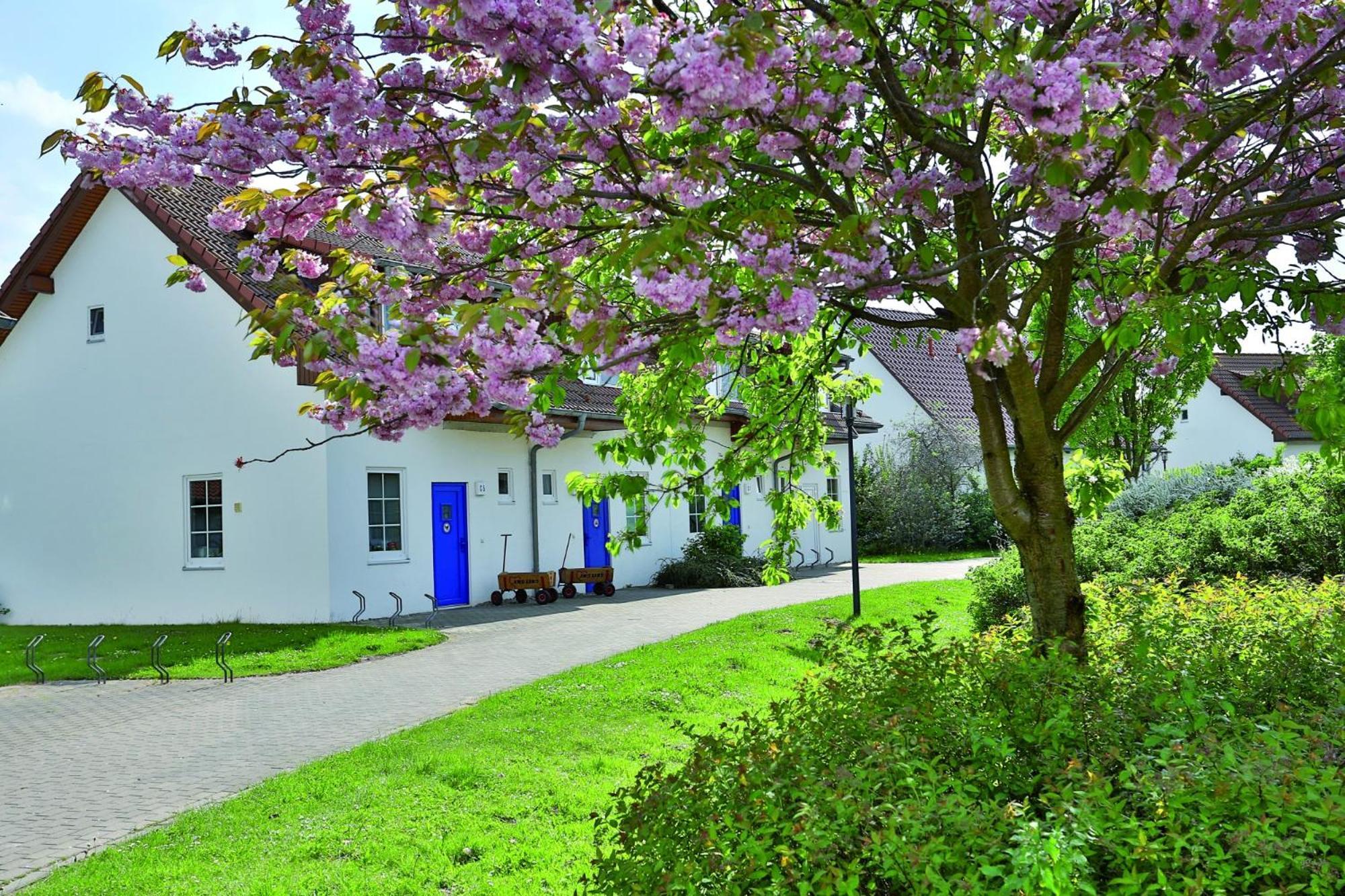 Feriendorf Рерик Экстерьер фото